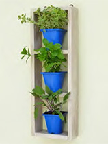 Pot plant shelf unit