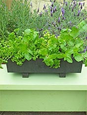 Paint an planter box