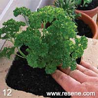 Step 12 How to build a set of herb planter shelves