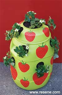 How to water a strawberry planter