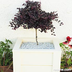 Build a wooden planter box for your garden