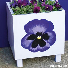 Make a planter for pansies 