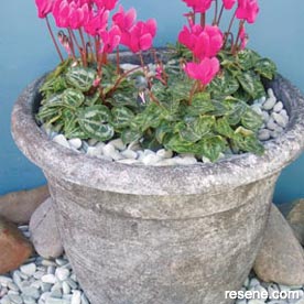Transform a garden pot  