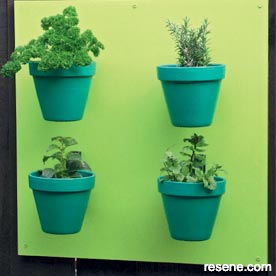 Hanging wall planter for herbs