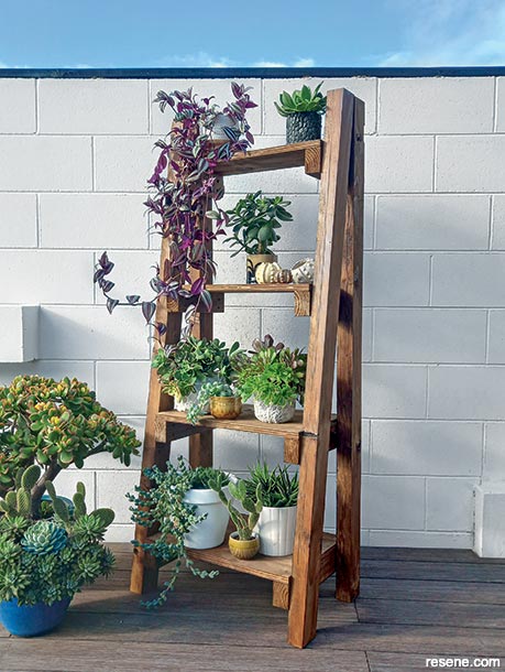 How to make a plant ladder