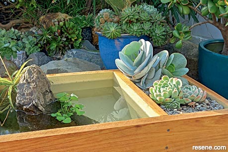 Mini water feature - finished