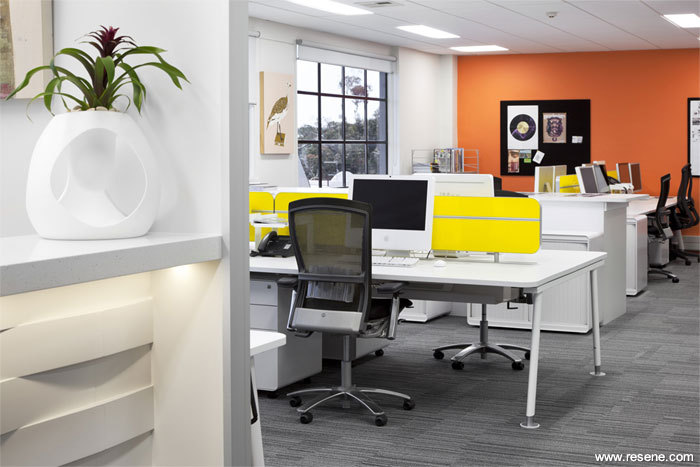 AGM Publishing offices - energetic and calming colours