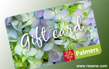 Palmers gift card