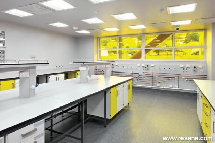 Yellow and white teaching labs