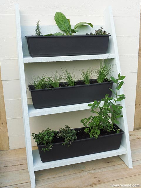 Paint some garden shelves with contrasting colours
