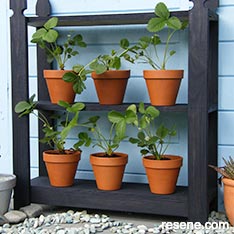 Strawberry plant stand