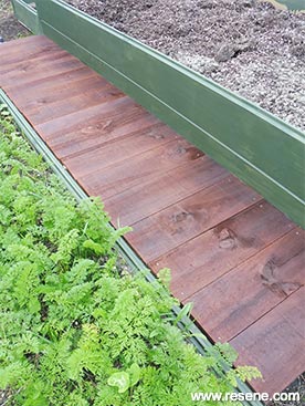 How to build a boardwalk and garden bed