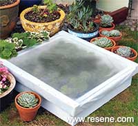 Make an inexpensive cold frame from treated battens