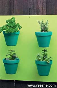 How to make a simple wall planter for herbs