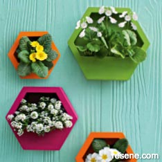 Build a hexagon wall planter