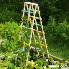 Build a climbing frame