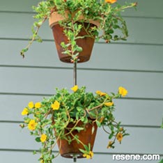 Make a vertical potted planter