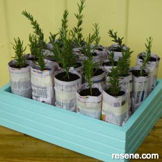 Growing box for seedlings