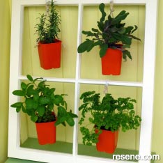 A plant display using an old window frame