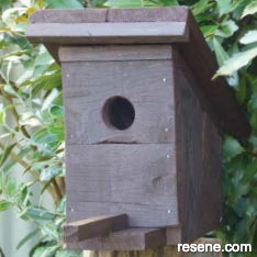 Build a rustic birdhouse