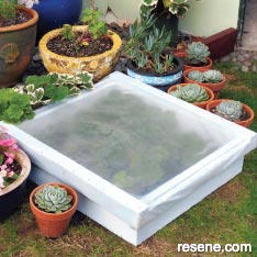 How to build an inexpensive cold frame