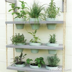 Make an wall herb hanger