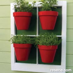 Build a display for potted plants
