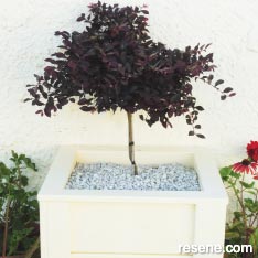 Build a wooden planter box for your garden