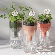 Make self watering herb planters for your windowsill
