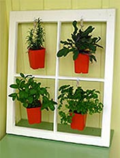 Make a plant display unit from an old window