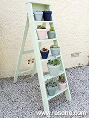 Make a ladder shelf for your pot plants