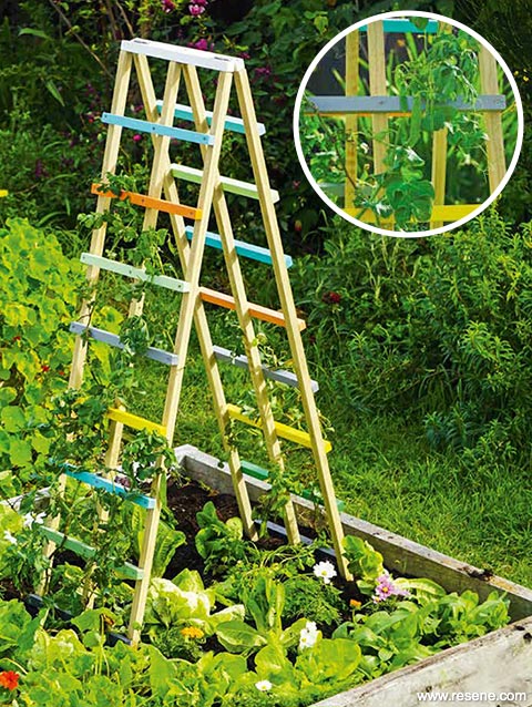 Build a colourful plant frame for your garden