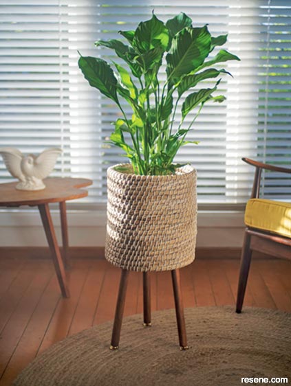 Make a basket plant stand