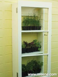 Wall-mounted cold frame

