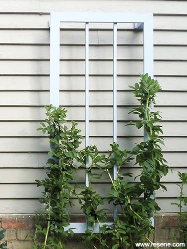 Build a plant support frame for your garden