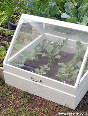 A covered garden bed for the cooler months