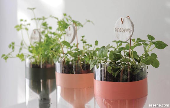 Herb planters for your window sill