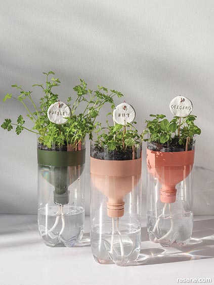 Make self watering herb planters