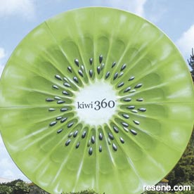 Kiwi 360