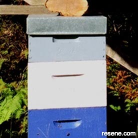 Beehives 
