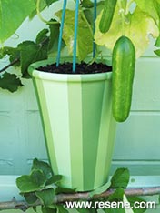 Paint a terracotta pot in cucumber hues