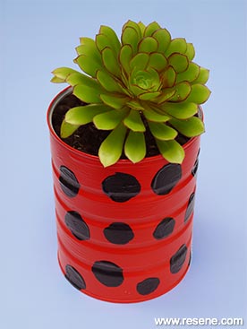 Another idea- a ladybird inspired pot
