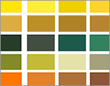 Kiwi colours palette
