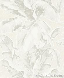 Resene Amiata Wallpaper Collection - 296043