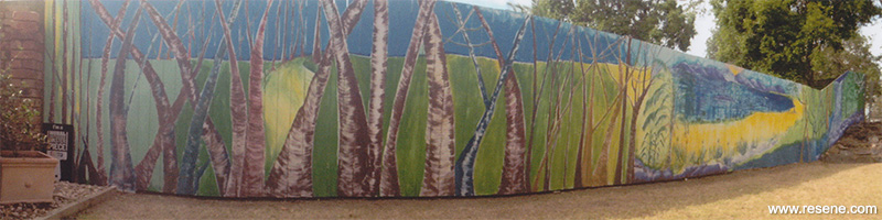 Carindale mural entry in the Resene Mural Masterpieces competition