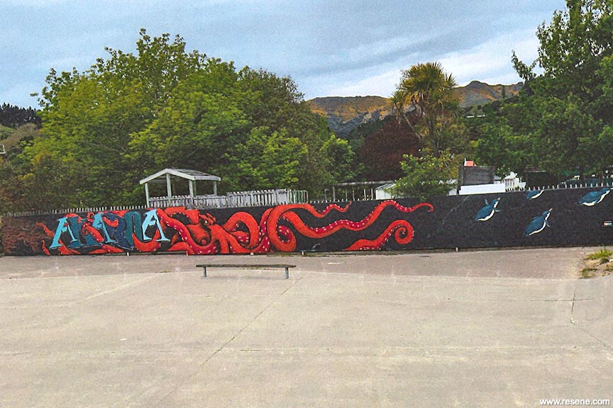 Akaroa Skateboard Park mural