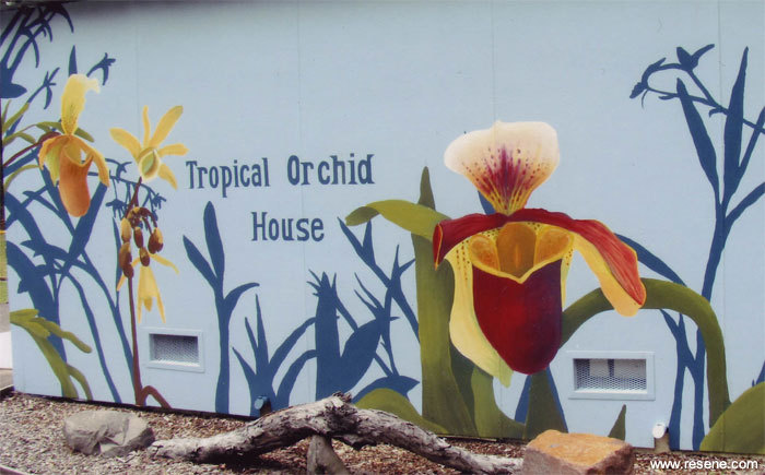 Mural Masterpieces Hunter Region Botanic Gardens murals