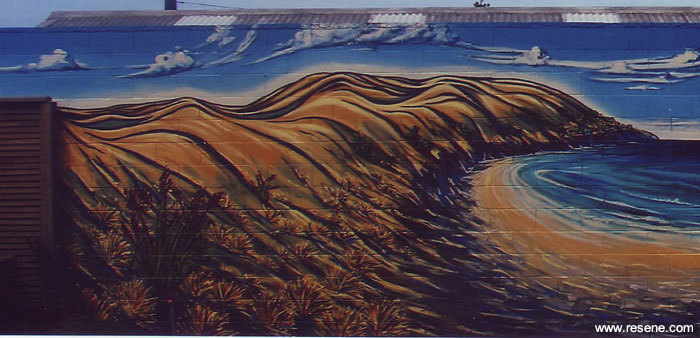 Mural Masterpieces Mountain biking on Banks Peninsula