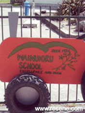 Wainuioru School mural