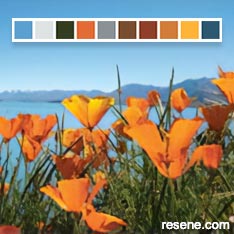 Resene colour palette generator
